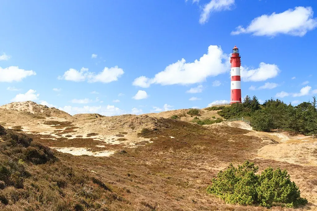 1024px-matthias_suessen_amrum-4426.webp