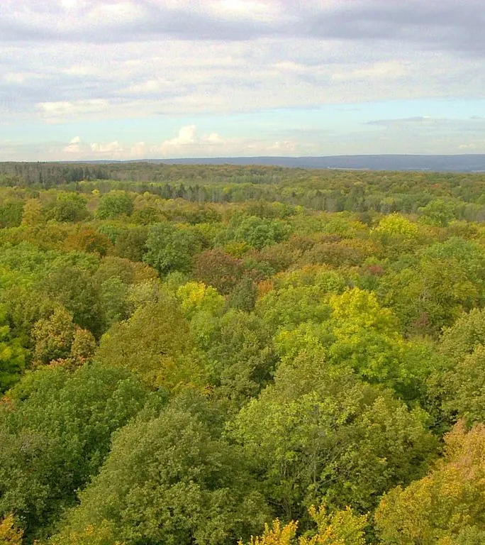 Mehr zu Thüringer Wald