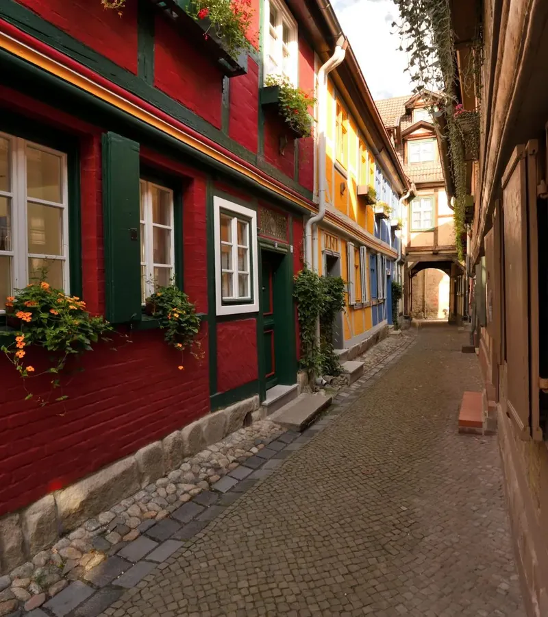 Mehr zu Sachsen-Anhalt