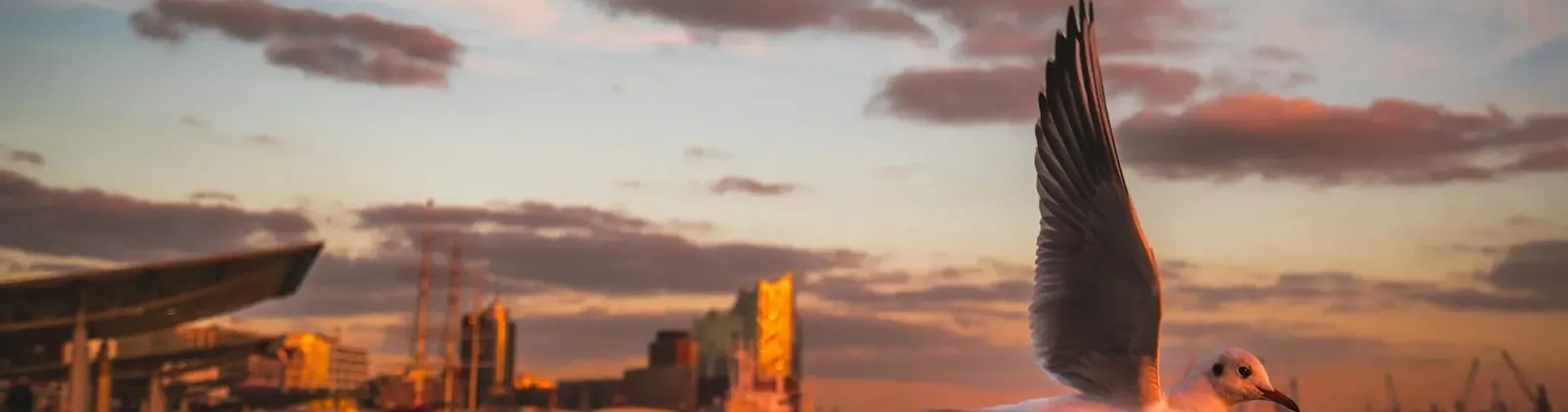 St. Pauli, Altona-Altstadt und Sternschanze