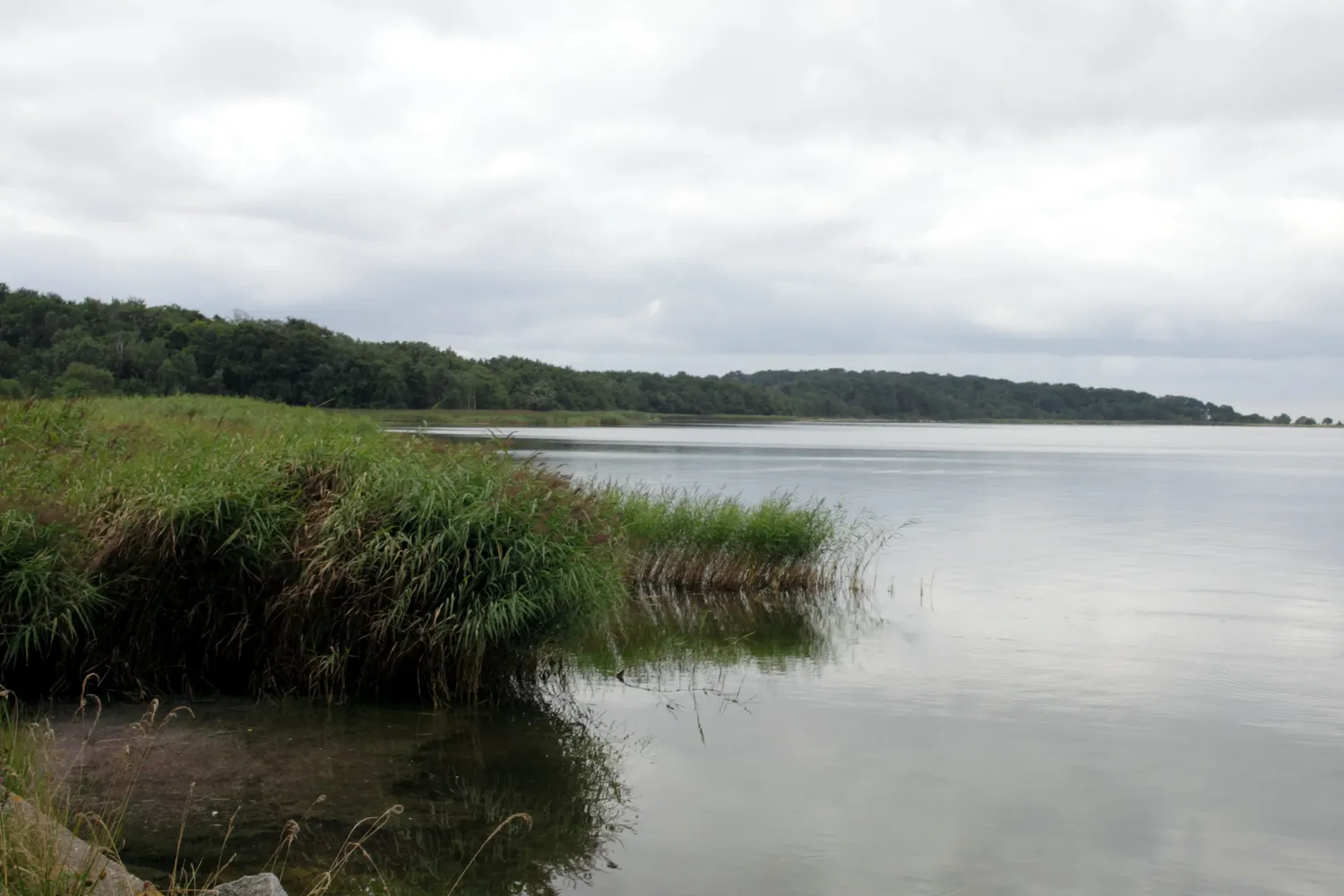 Insel Vilm - (2012-08) Insel Vilm 0147 01