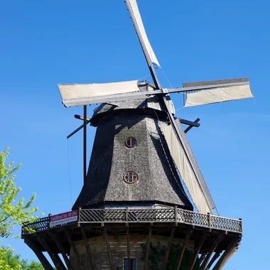 Historische Mühle - 20150524 Historic Mill of Sanssouci 7483