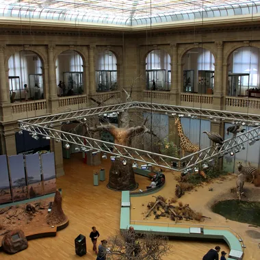 Zoologische Forschungsmuseum Alexander Koenig / Museum Koenig - 201607bonn nr 14