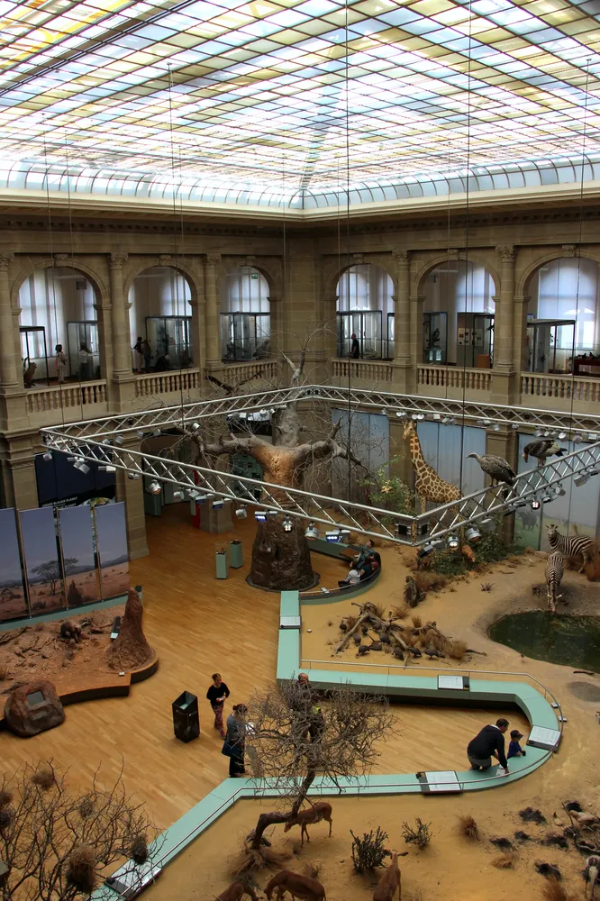 Zoologische Forschungsmuseum Alexander Koenig / Museum Koenig - 201607bonn nr 14