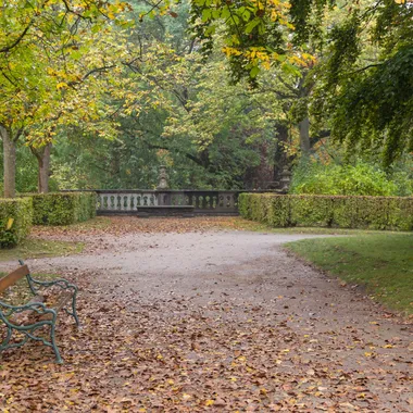Universität Würzburg und Hofgarten - 2017 Residenz Würzburg 03