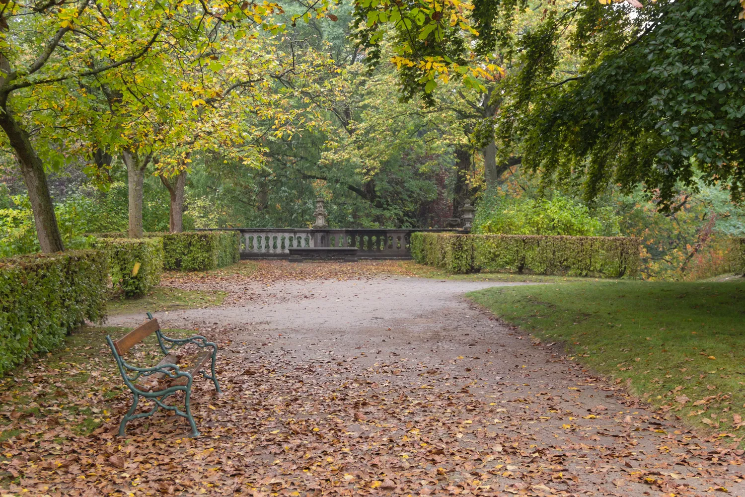 Universität Würzburg und Hofgarten - 2017 Residenz Würzburg 03