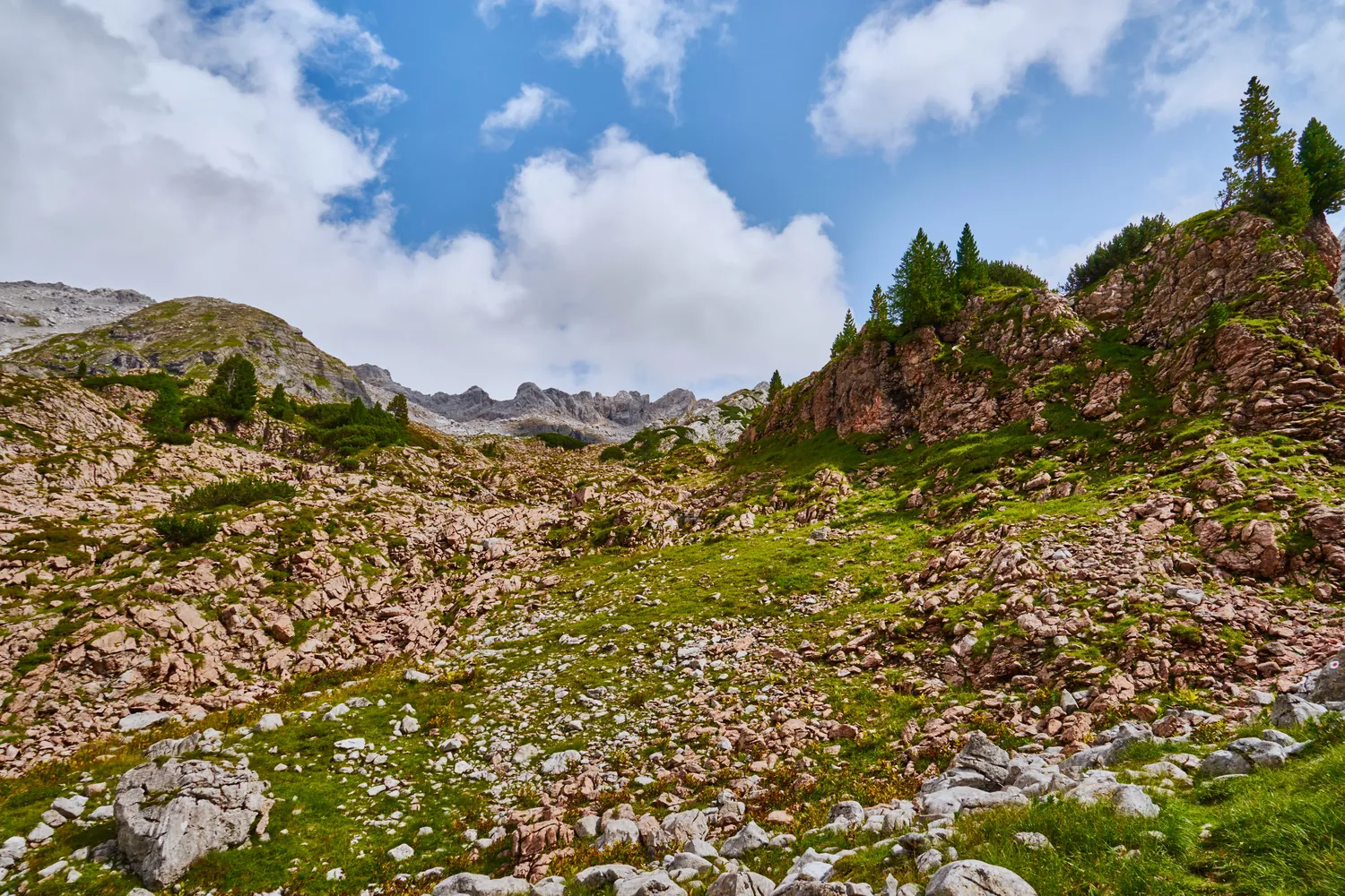 Nationalpark Berchtesgaden - 20170821 Rote Juragesteine im grauen Dachsteinkalk, Stuhlgraben, Steinernes Meer (00842)