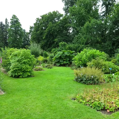 Botanische Gärten der Universität Bonn - 2018-06-18-bonn-meckenheimer-allee-169-botanischer-garten-04