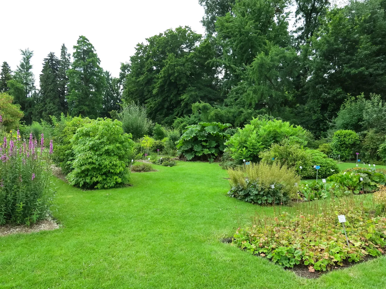 Botanische Gärten der Universität Bonn - 2018-06-18-bonn-meckenheimer-allee-169-botanischer-garten-04