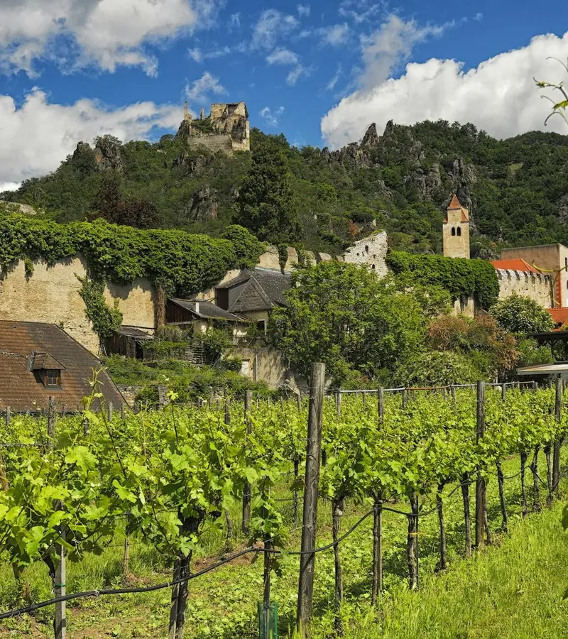 Mehr zu Rheinland-Pfalz