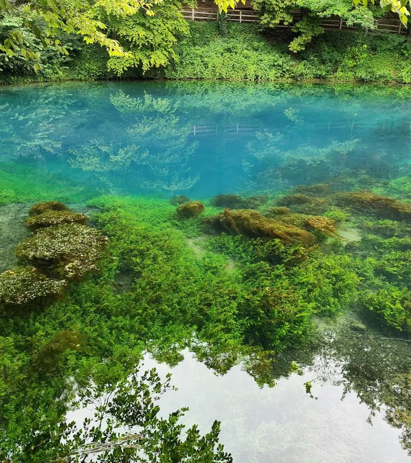 Mehr zu Schwäbische Alb