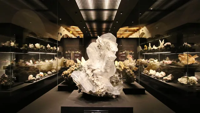 Terra Mineralia