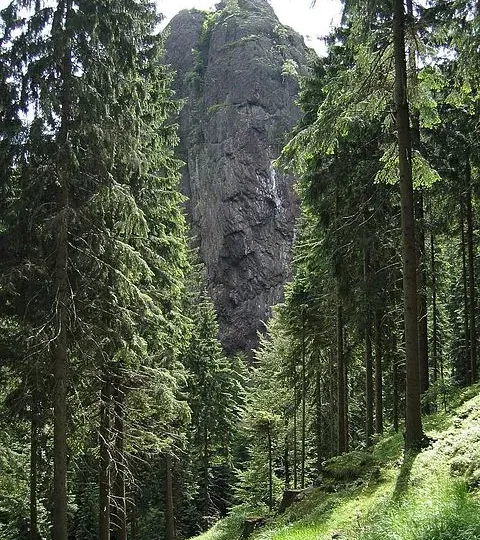 Thüringer Wald