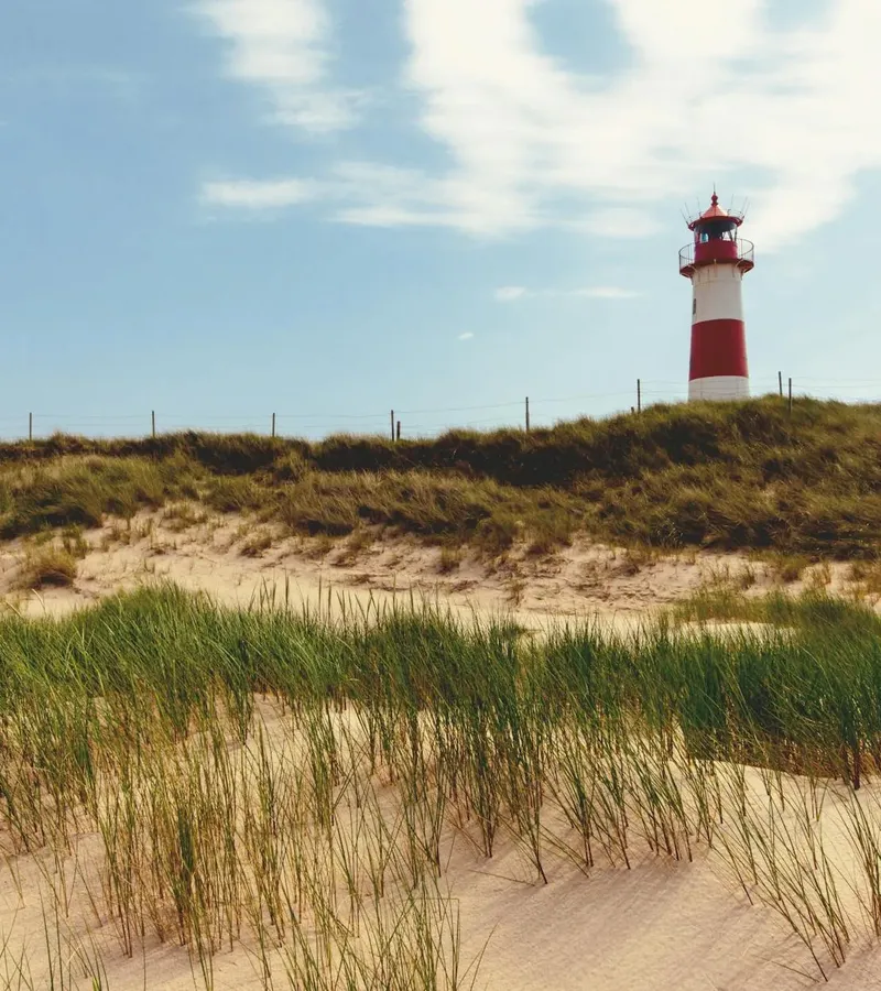 Mehr zu Schleswig-Holstein