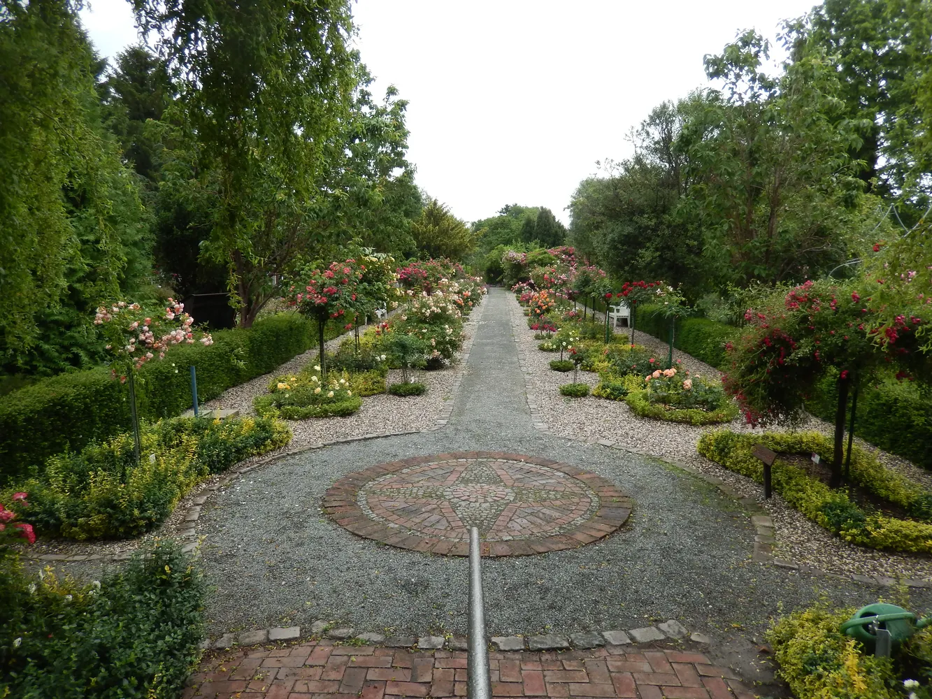 Rosarium Wilhelmshaven - 8517 Rosarium Wilhelmshaven 8517