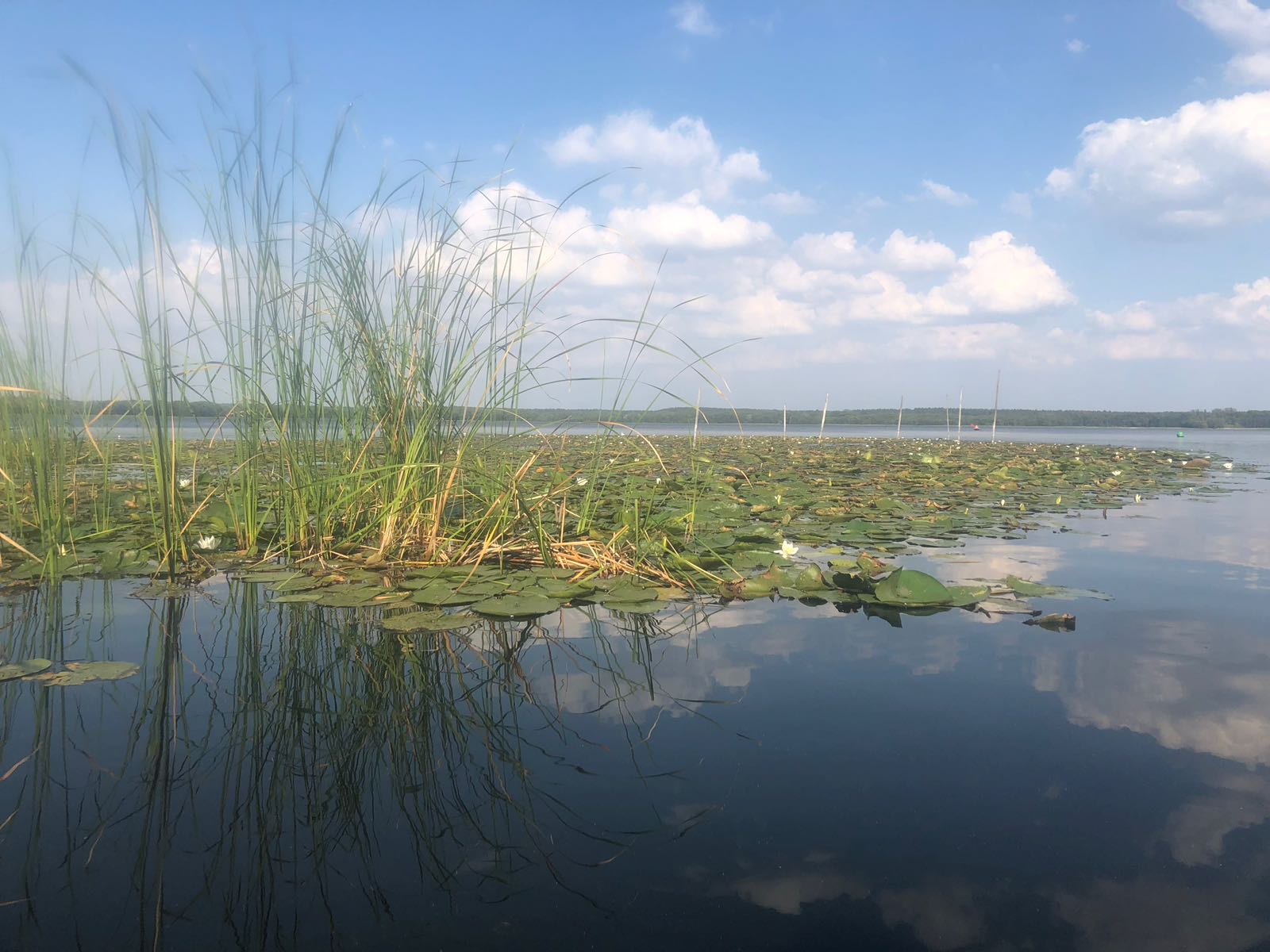 Mecklenburger Seenplatte