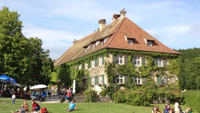 Affenberg Salem