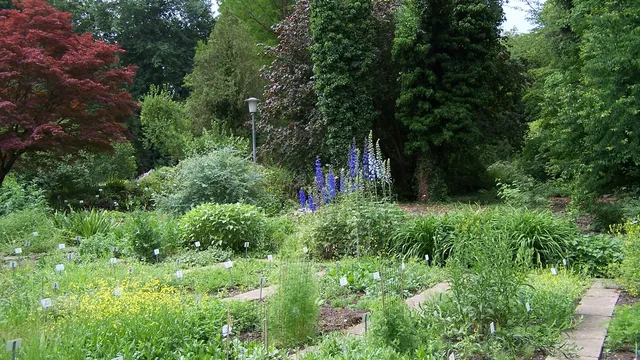 Botanischer Garten Göttingen
