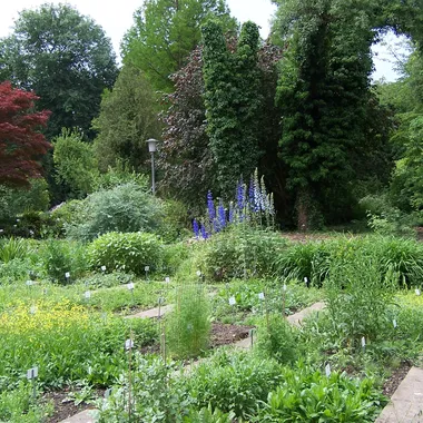 Botanischer Garten Göttingen - Alter Botanischer Garten der Universität Göttingen 006