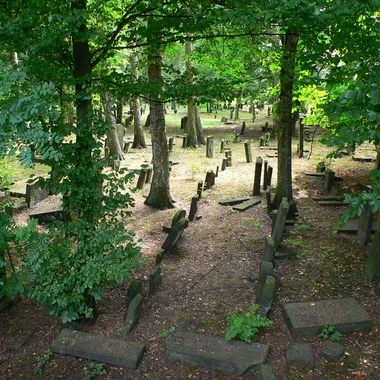Jüdischer Friedhof Altona - Altona Jüdischer Friedhof