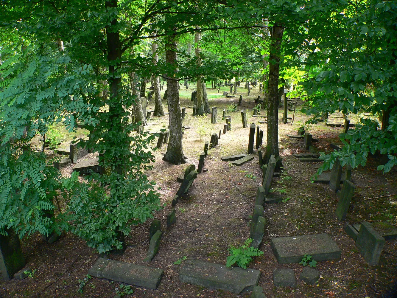Jüdischer Friedhof Altona - Altona Jüdischer Friedhof