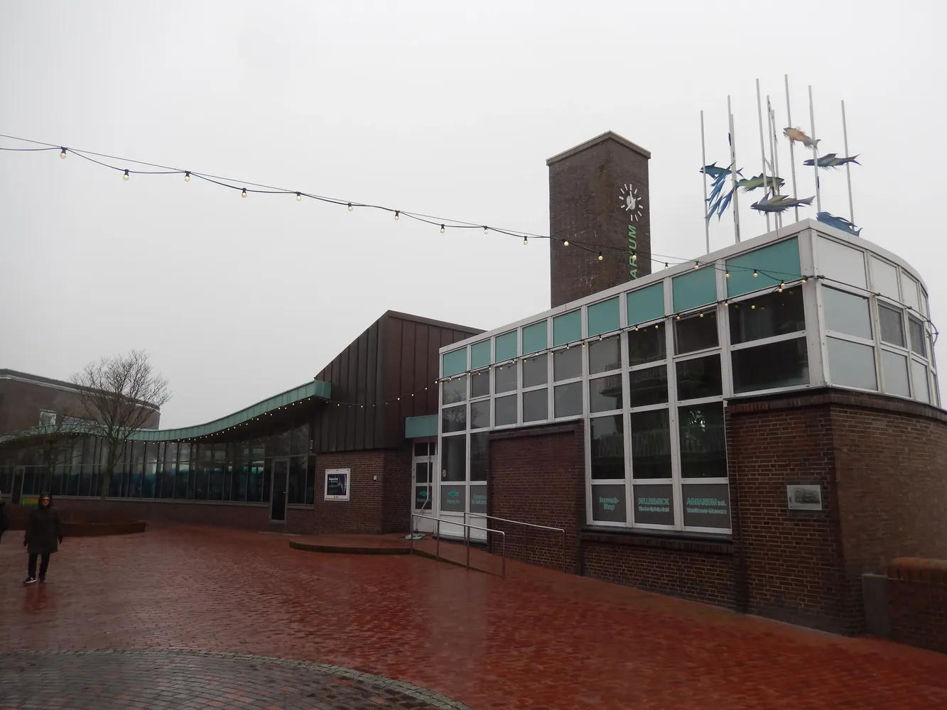 Aquarium Wilhelmshaven - Aquarium Wilhelmshaven 2017-02