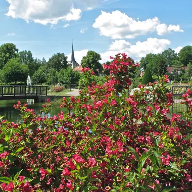 Rosengarten in Bad Langensalza - Bad Langensalza 2022 - Rosengarten