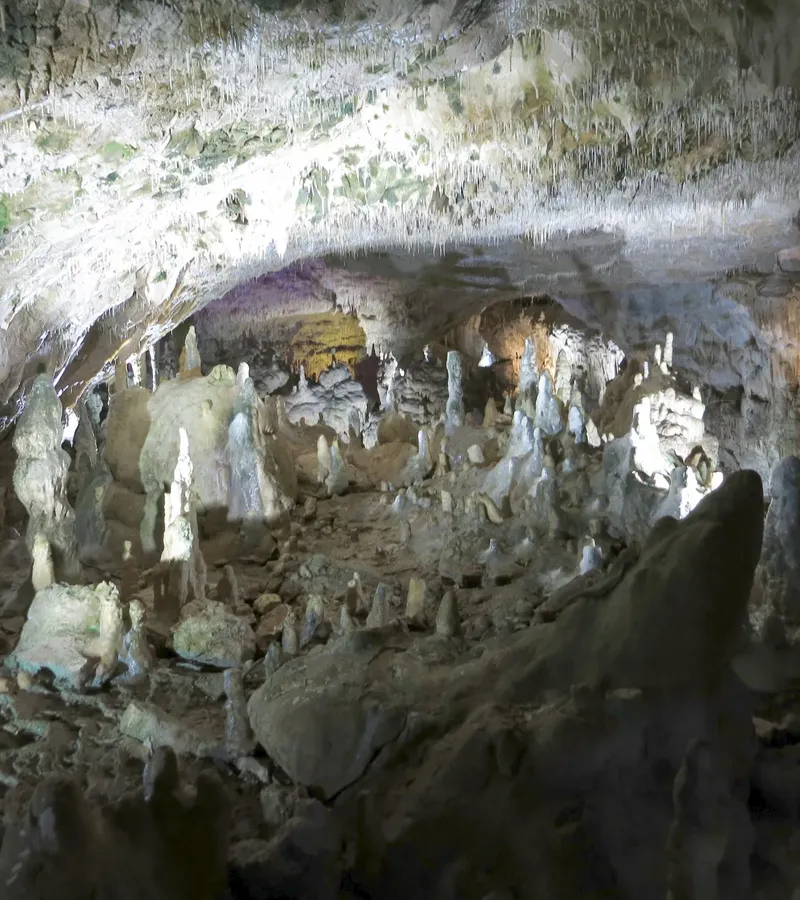 Bear cave in Sonnenbühl