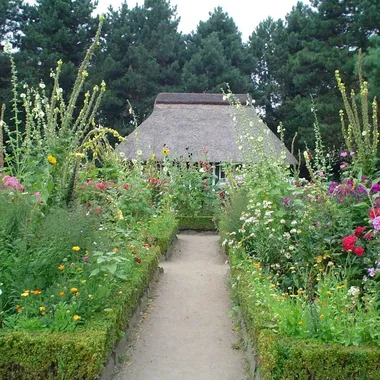 Botanischer (Loki Schmidt) Garten - Bauerngarten-Hamburg-Botanischer-Garten