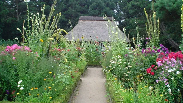 Botanischer (Loki Schmidt) Garten