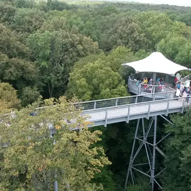 Baumkronenpfad - Baumkronenpfad 2014