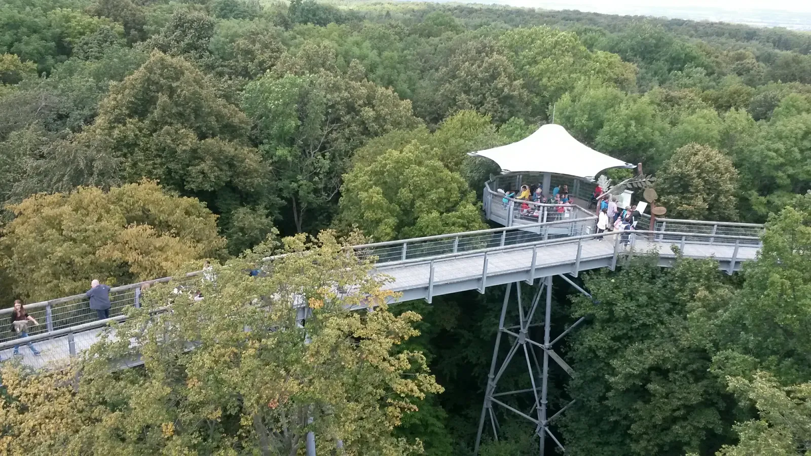Baumkronenpfad - Baumkronenpfad 2014