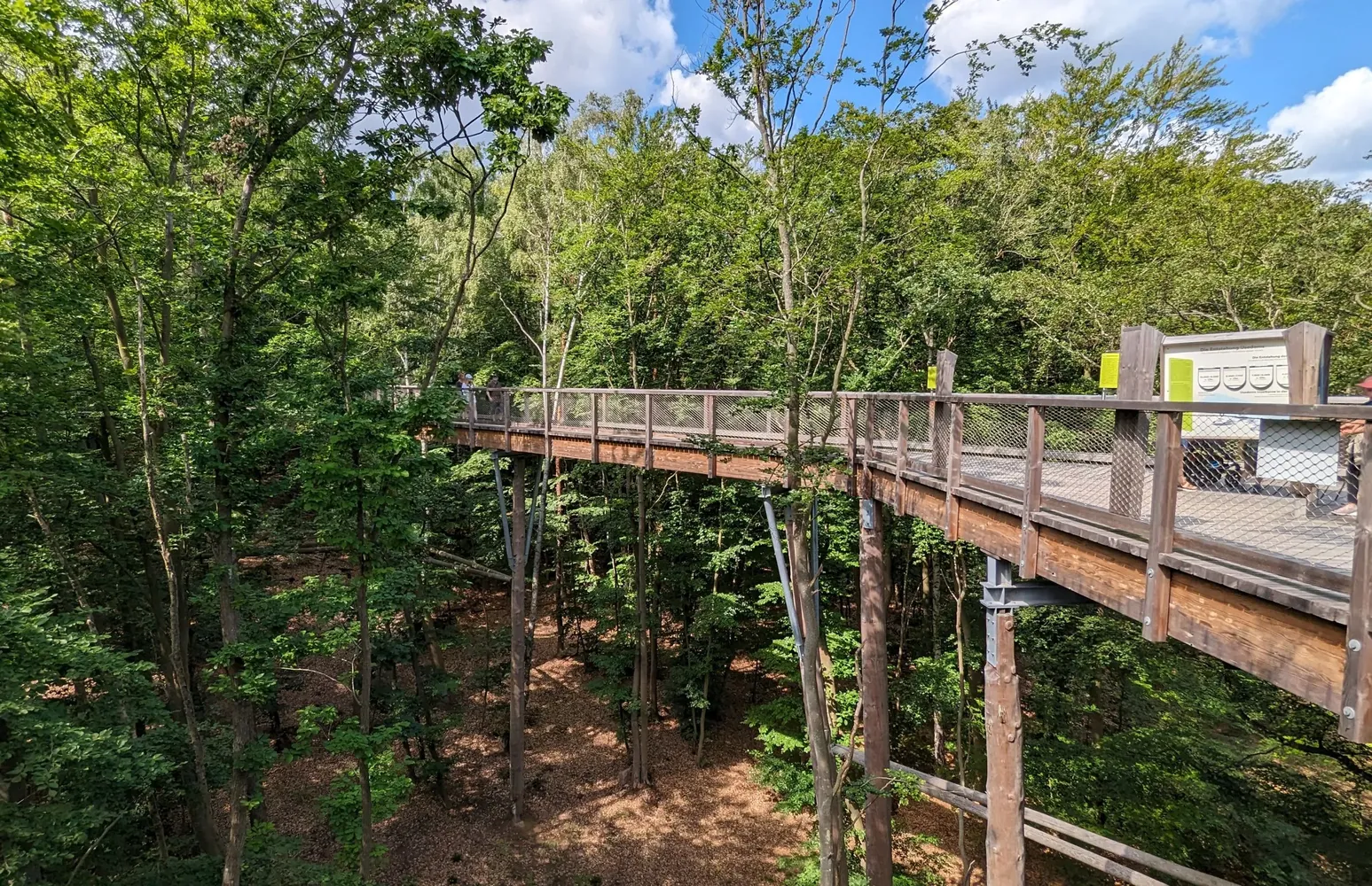 Baumwipfelpfad Usedom - Baumwipfelpfad Usedom 2023 03