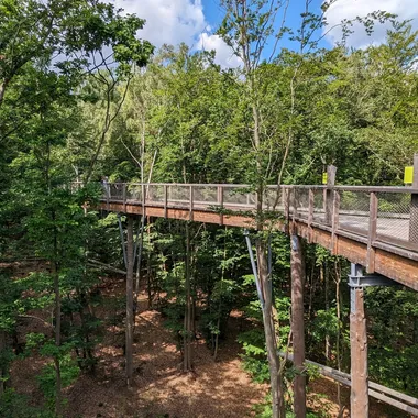 Baumwipfelpfad Usedom - Baumwipfelpfad Usedom 2023 03