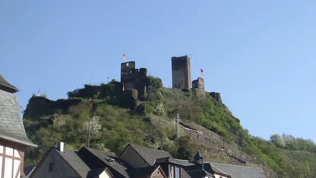 Burg Metternich