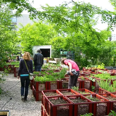 Prinzessinnengarten - Berlin-Kreuzberg Prinzessinnengärten 1