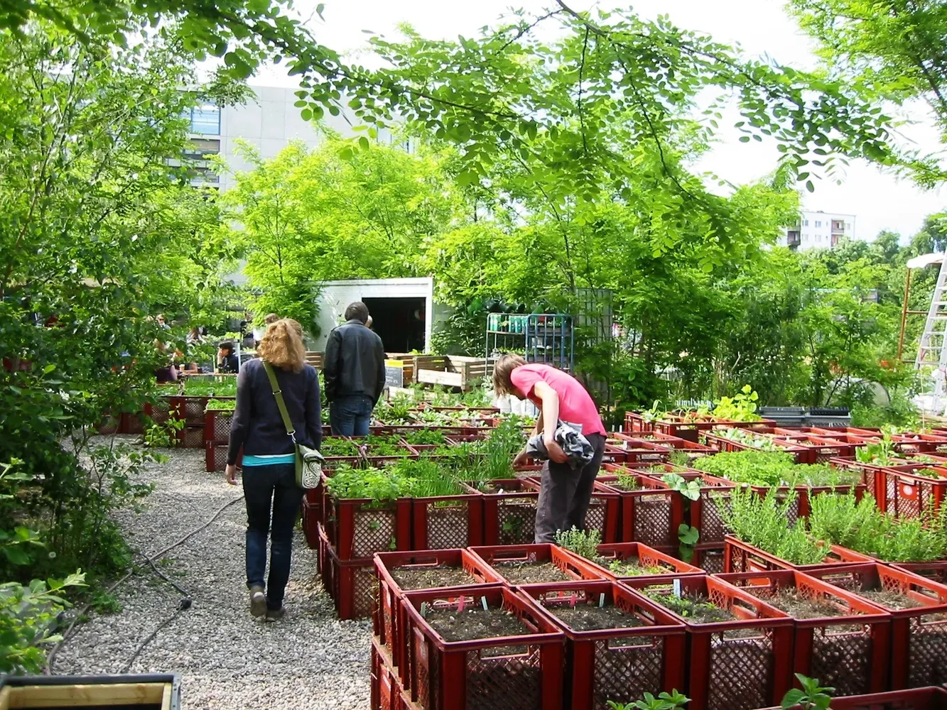 Prinzessinnengarten - Berlin-Kreuzberg Prinzessinnengärten 1