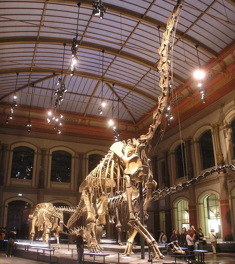 Naturkunde Museum