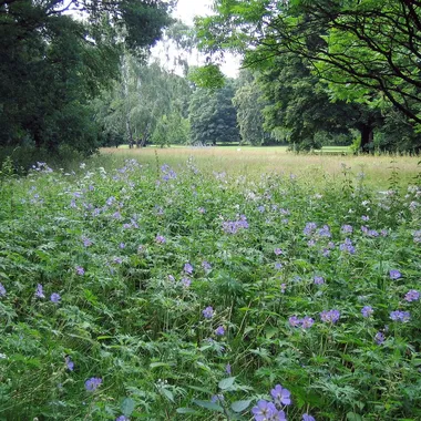 Großer Tiergarten - Bln Tiergtn8