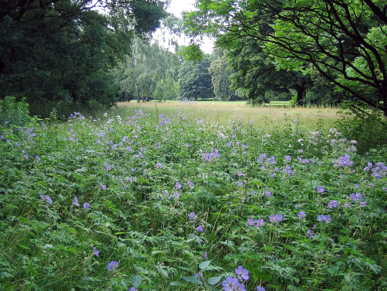 Großer Tiergarten - Bln Tiergtn8