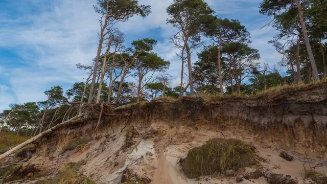 Nationalpark Vorpommersche Boddenlandschaft