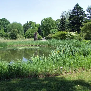 Palmengarten und Botanischer Garten - Botanischer-garten-ffm004