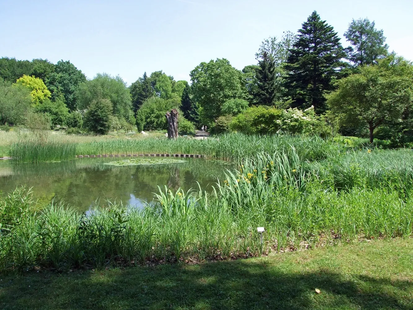 Palmengarten und Botanischer Garten - Botanischer-garten-ffm004