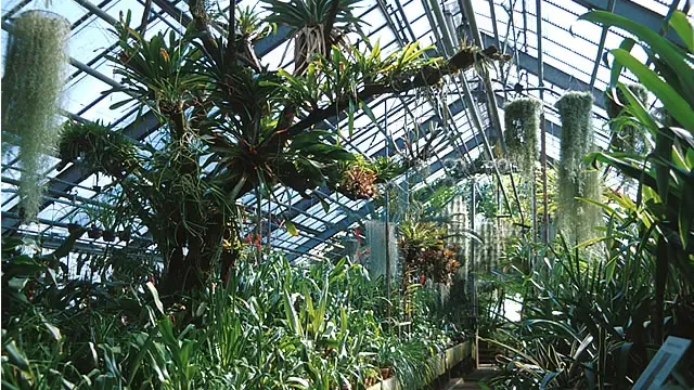 Botanischer Garten der Universität Heidelberg