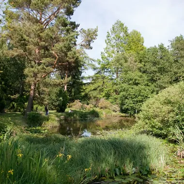 Botanische Garten der Universität Rostock - Botanischer Garten Rostock Teich