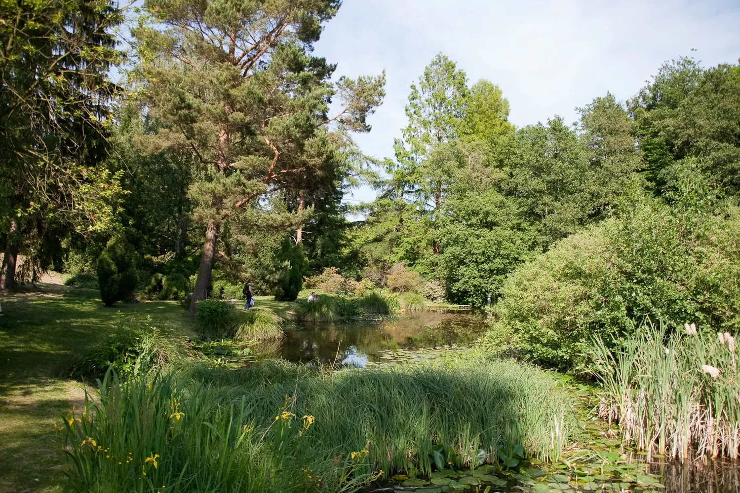 Botanische Garten der Universität Rostock - Botanischer Garten Rostock Teich