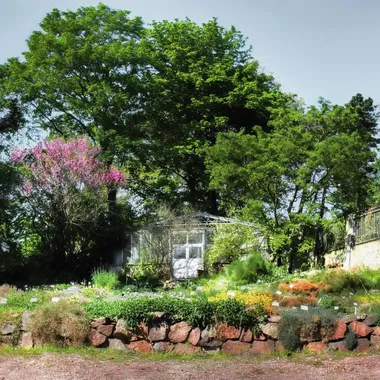 Botanischer Garten Halle - Botanischespanorama-2