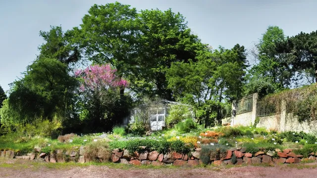 Botanischer Garten Halle