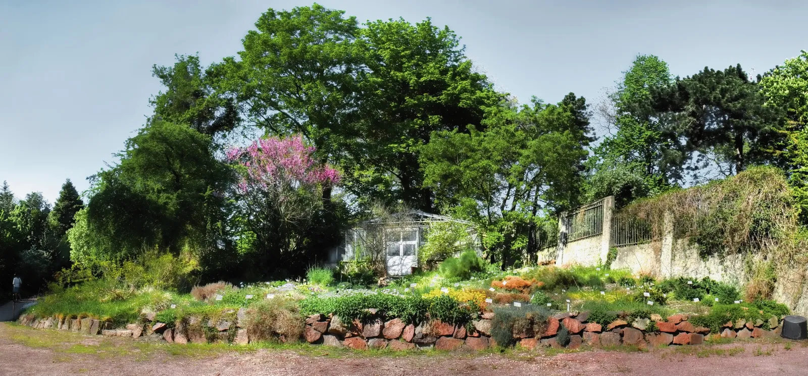Botanischer Garten Halle - Botanischespanorama-2
