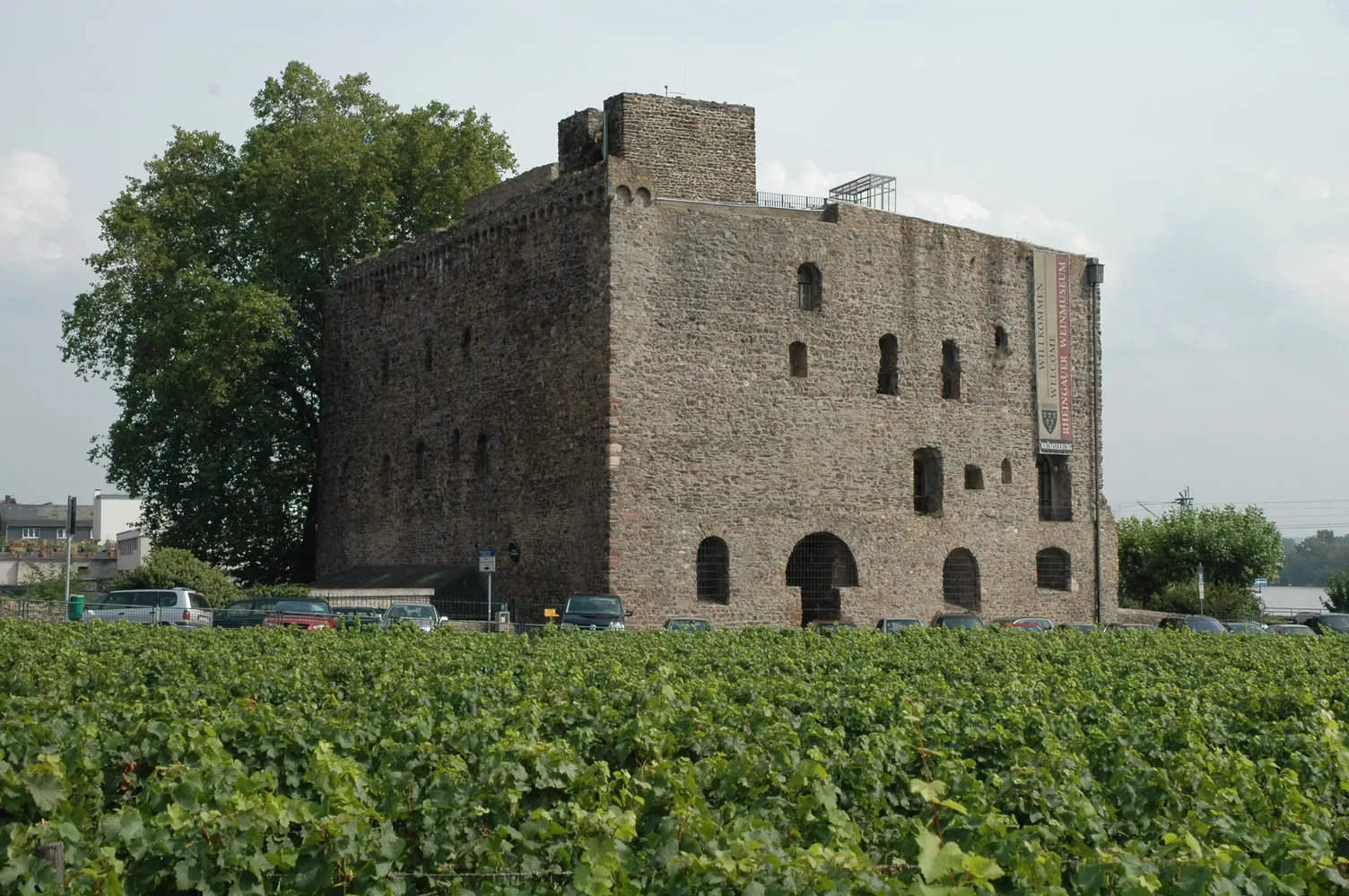 Weingarten in der Brömserburg - Brömserburg1